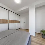 Skylineview - Modern & Free Parking Apartment Bratislava